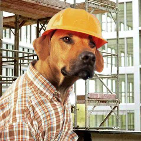 Собаки - строители