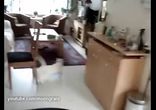 Кот попал в ловушку