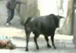 милый бычок