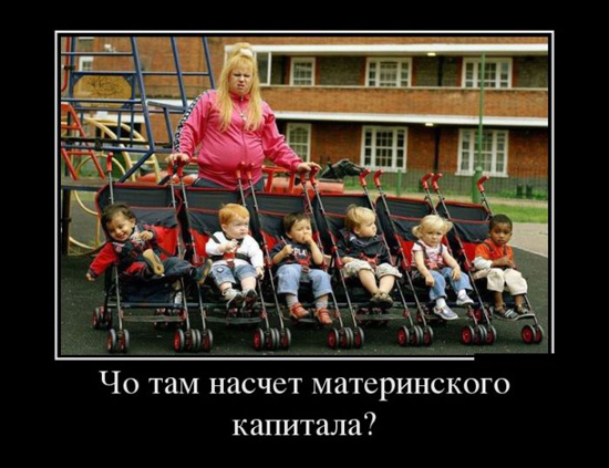 ТОП лучших демотиваторов