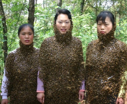 Три сестры, или Пчелинные шубки (ЖЕСТЬ)