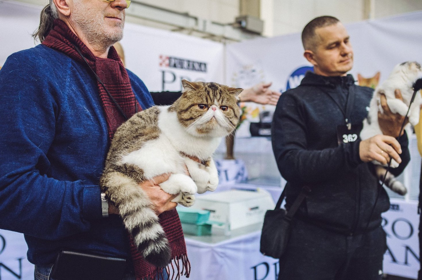 Міжнародна виставка котів Pro Plan® Гран Прі 2018