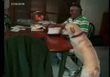 Прикольчик