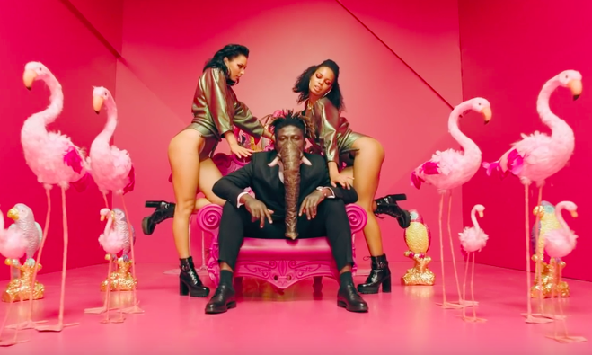 5 сексуальных посылов песни Elefante Насти Каменских: разбираем трек с Google-переводчиком