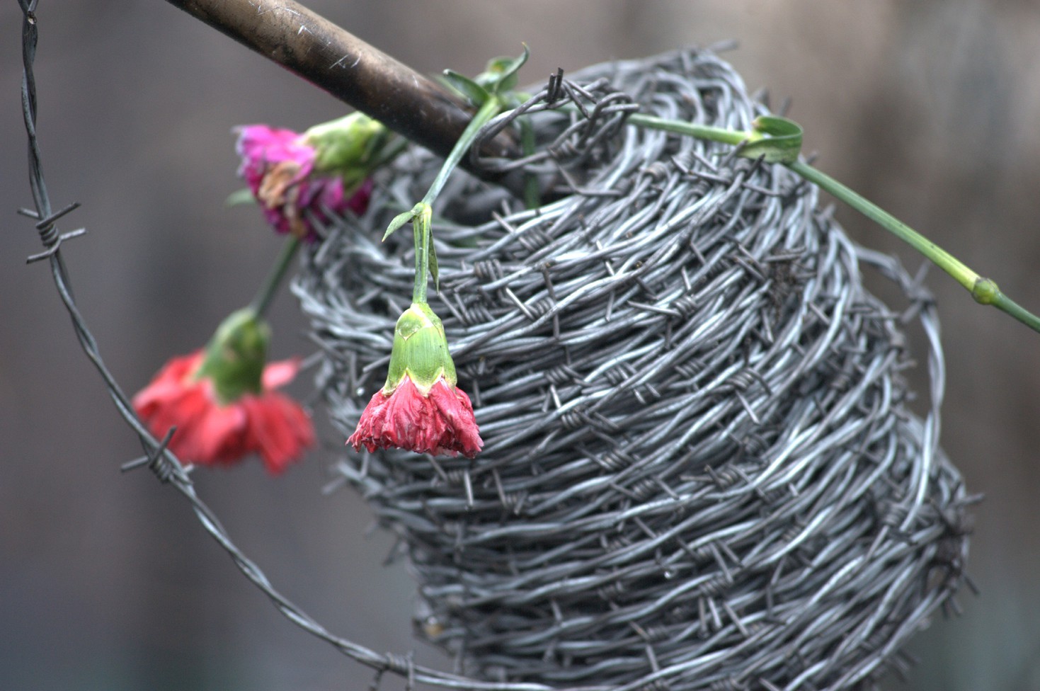 Революция достоинства