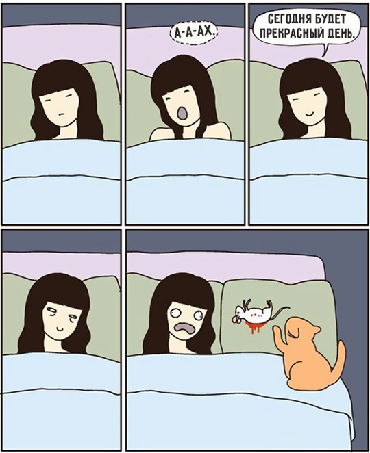 Комиксы про котов