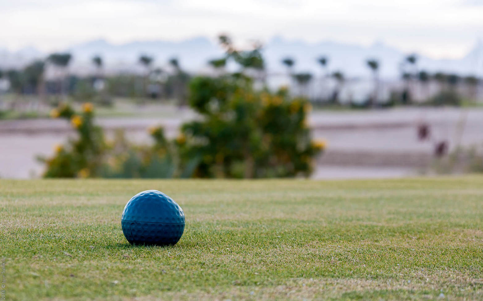 Єгипет, готель Jaz Makadina