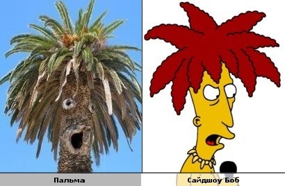 Смешные сходства