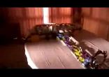 принцип доміно