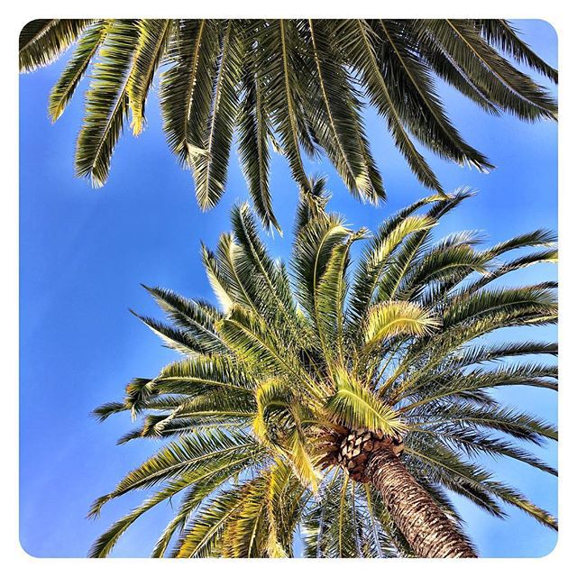 Меган Маркл и принц Гарри