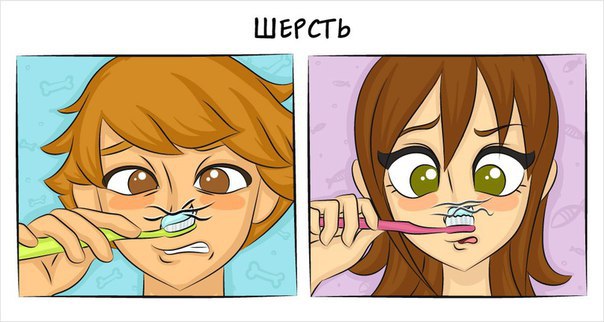 Как отличается жизнь с кошкой от жизни с собакой