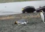 Нарушение Государственной границы)