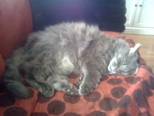 Работаю над стрессоустойчивостью