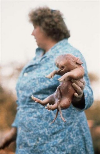 Чернобыль форева