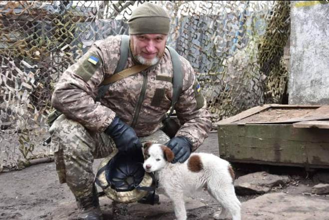 Украинские войны с животными
