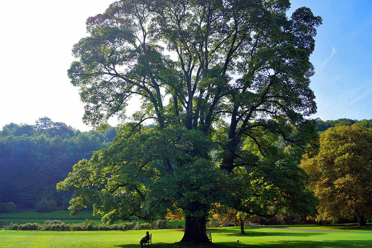Село Castle Combe