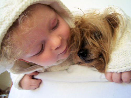 "Я тебя не отдам никому!"