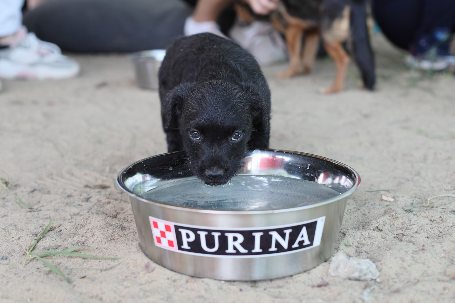 Purina®