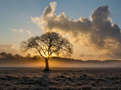 Что можно и нельзя делать в день Сорока святых, кто отмечает День ангела 22 марта