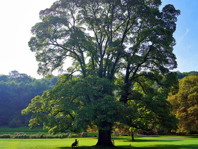 Деревня Castle Combe