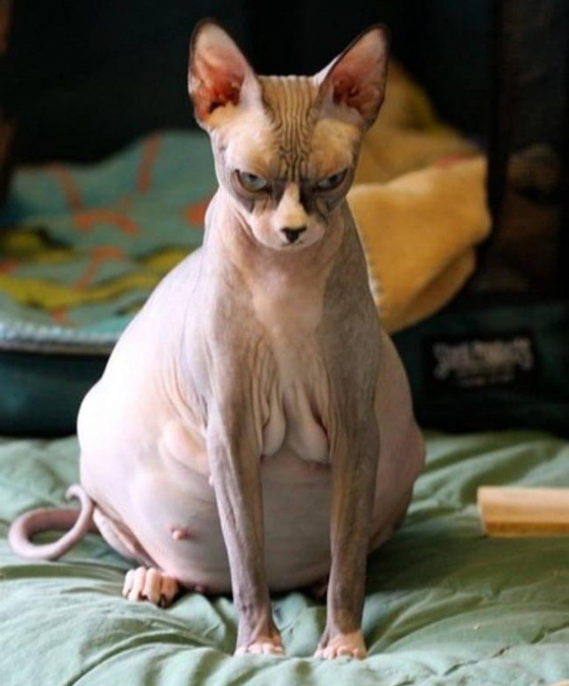 В ожидании чуда