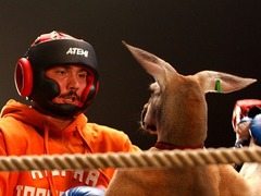 Бій з тінню 3D