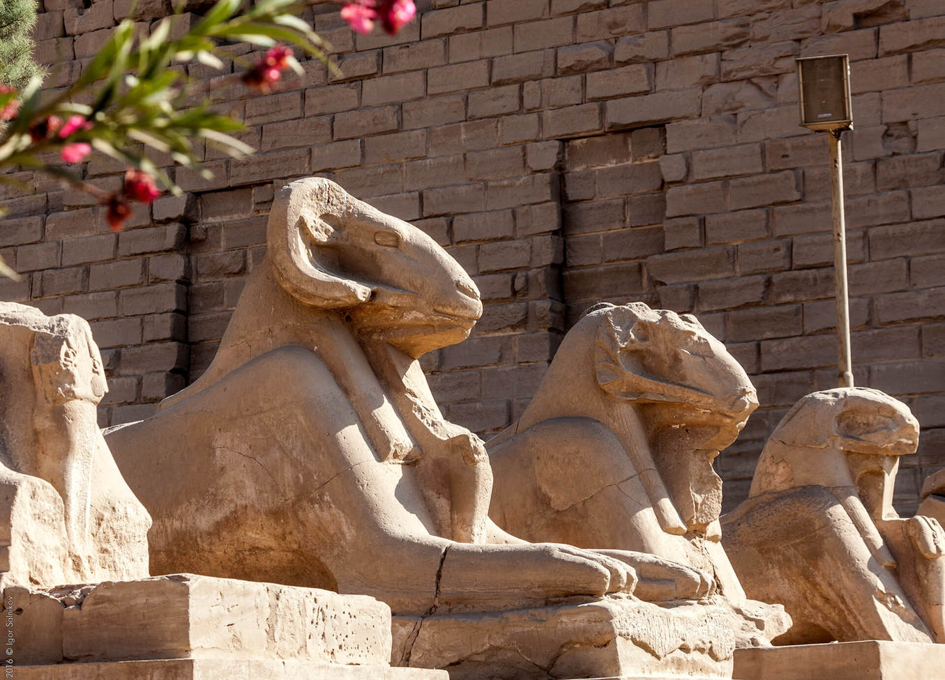 Карнакський храм, Луксор