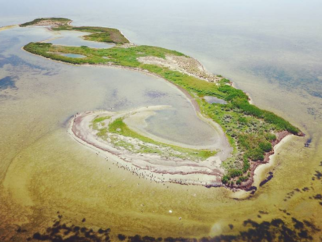 Бюджетний відпочинок на морі влітку: Хорли