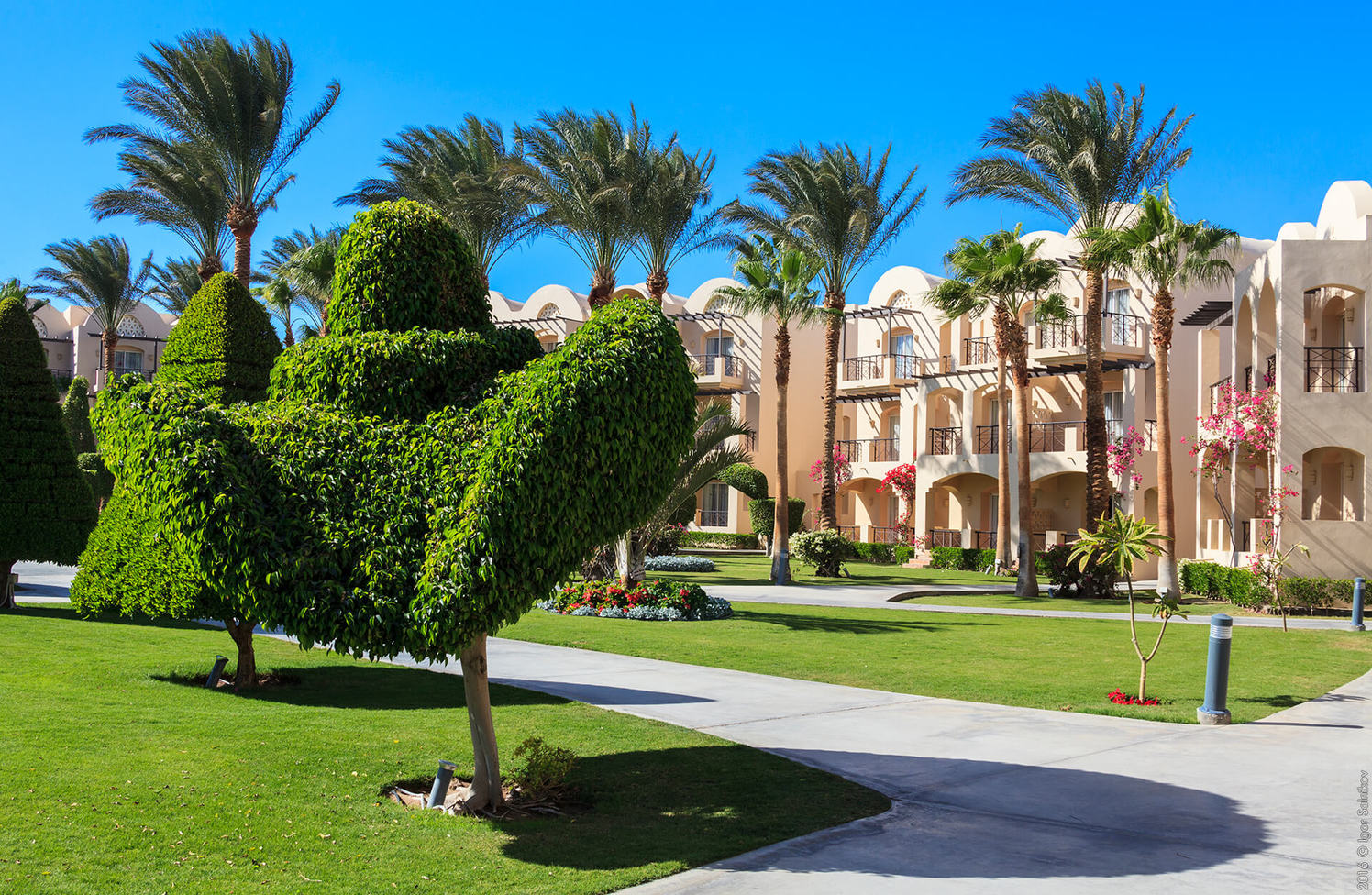 Єгипет, готель Jaz Makadina