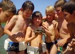 www.fortetsya.ua