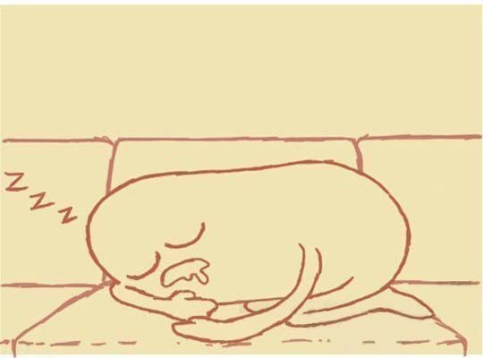 Прикольный комикс про сон с котэ