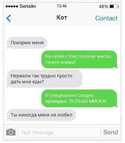 Смс переписки от кота