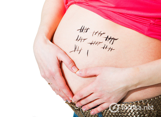Как считать недели беременности. Советы молодым мамам