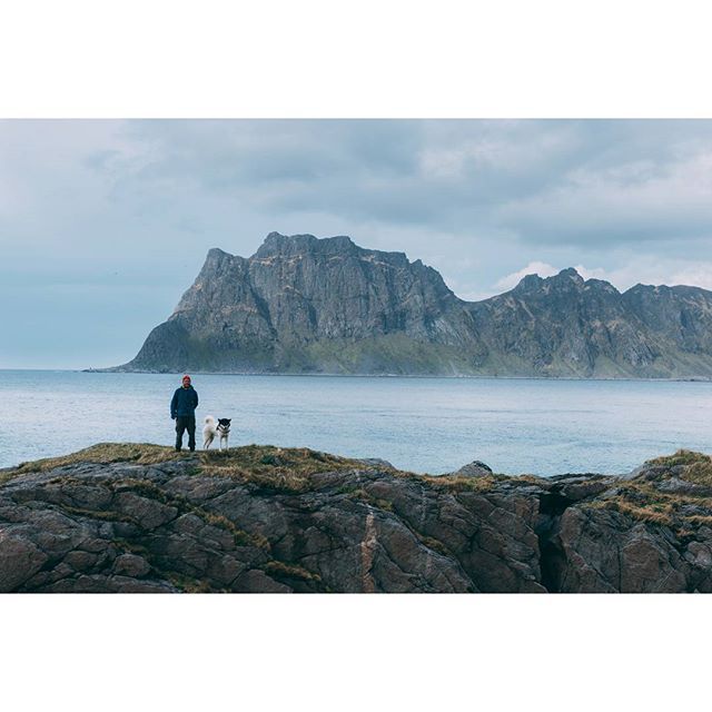 хаскі Акіак 