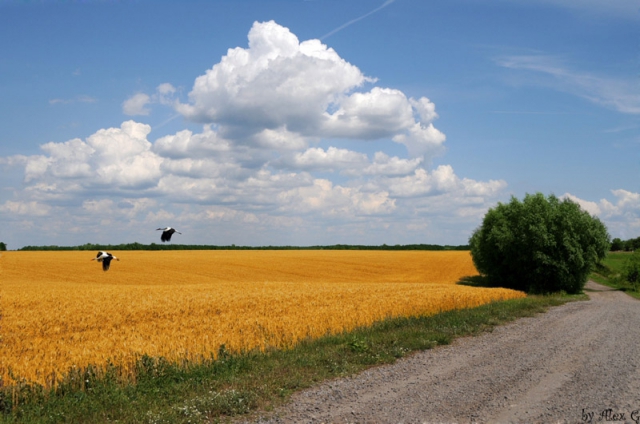 Конкурс фотопреміі "України, яку ми любимо"