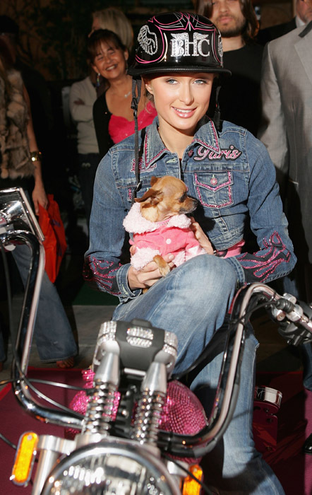 Періс Хілтон