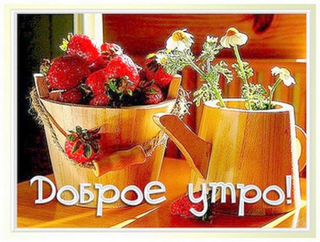Доброе утро!