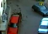 пес і авто