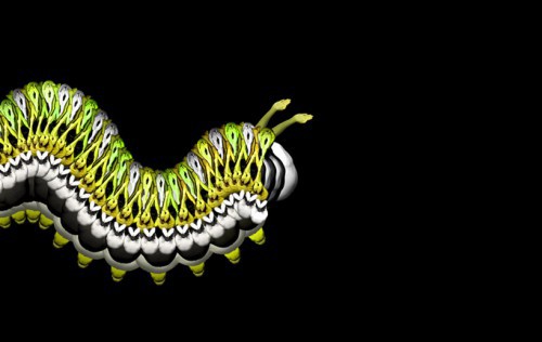 Картины из голых тел