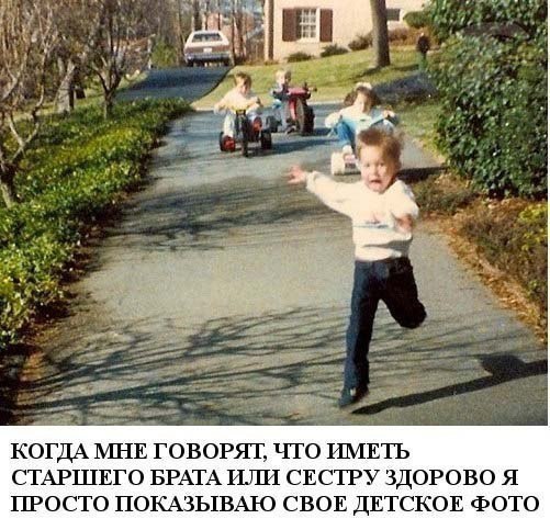 Скачать прикольные и красивые картинки Смешное фото про