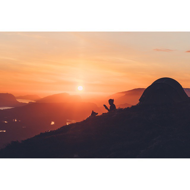 хаскі Акіак 