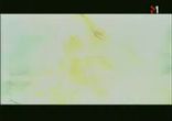 Ruslana - Wild energy