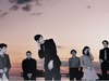 Pulp
