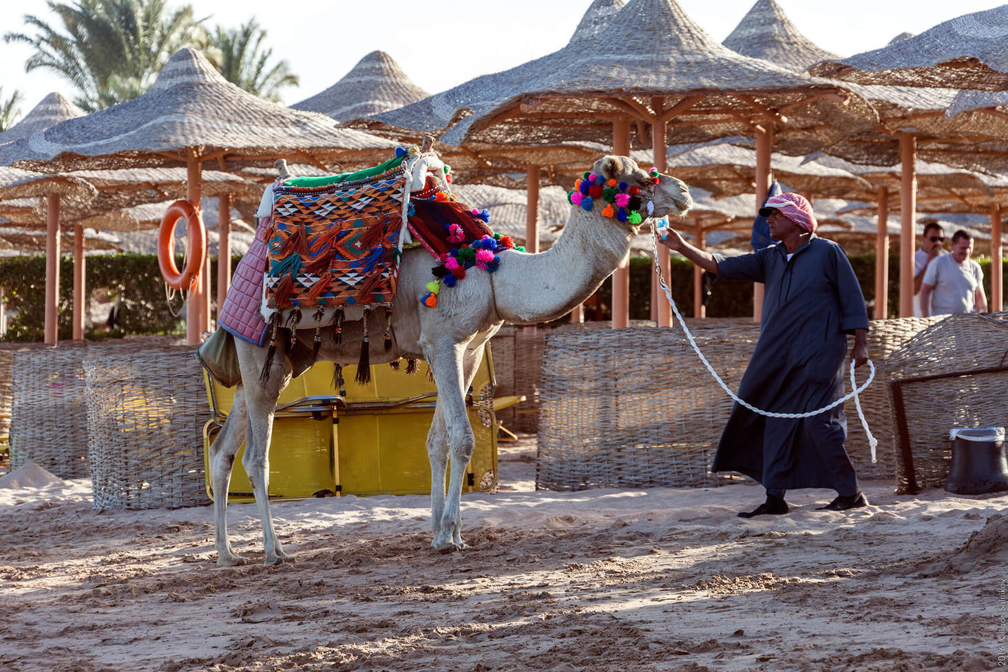 Єгипет, готель Jaz Makadina