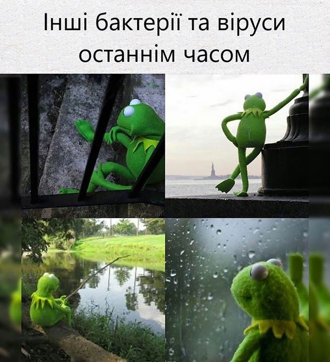 Во время коронавируса