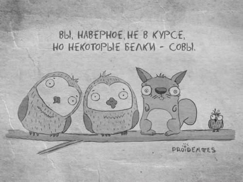 Животный характер