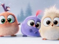 Малыши из The Angry Birds Movie HD