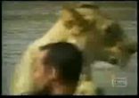 Любовь животных и людей...
