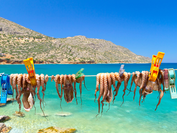 Відпочинок влітку на острові Крит: Лабіринт Мінотавра, пляж з рожевим піском і оливкові гаї