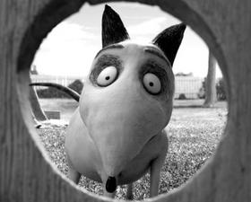 Франкенвини